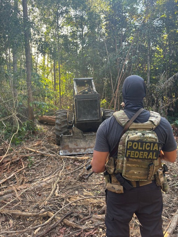 PF Prende Quatro em Operação Contra Desmatamento Ilegal em Santarém
