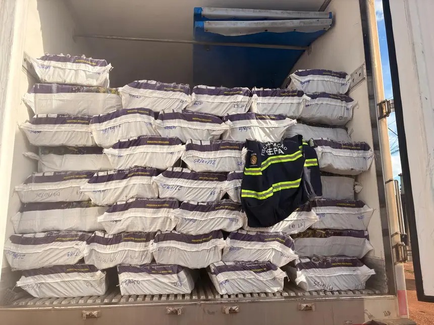 Sefa apreende 40 toneladas de açaí congelado em Dom Eliseu