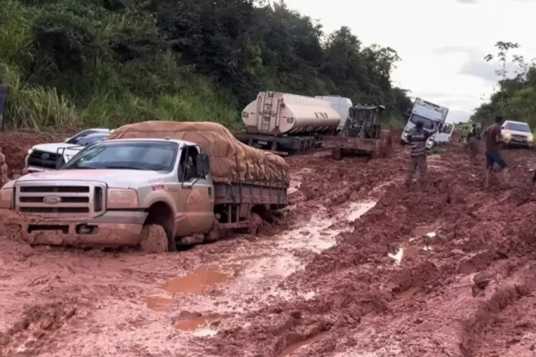 Justiça Federal ordena obras urgentes na Transamazônica (BR-230) entre Medicilândia e Rurópolis (PA)